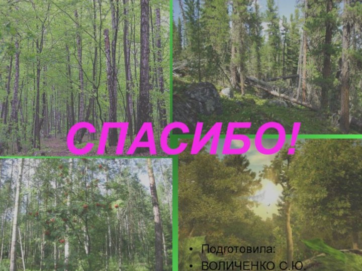 СПАСИБО!Подготовила:ВОЛИЧЕНКО С.Ю.