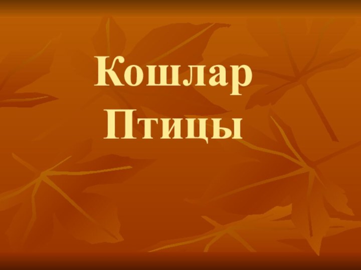 Кошлар  Птицы