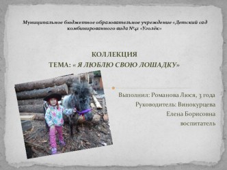 презентация презентация к уроку по теме