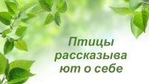 Птицы рассказывают о себе презентация к уроку (3 класс)