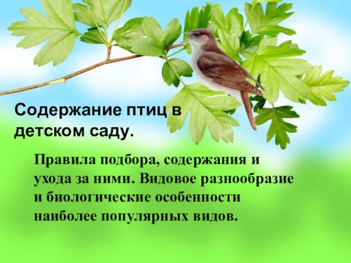 Содержание птиц в детском саду.Правила подбора, содержания и ухода за ними. Видовое