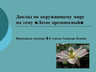 Доклад по окружающему миру Лотос орехоносный .3 класс презентация к уроку по окружающему миру (3 класс)