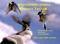 Зимующие птицы Южного Урала презентация к уроку по окружающему миру (подготовительная группа)