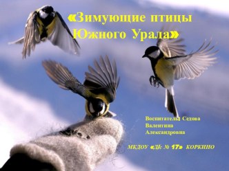 Зимующие птицы Южного Урала презентация к уроку по окружающему миру (подготовительная группа)