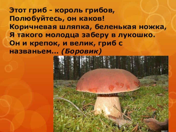 Этот гриб - король грибов, Полюбуйтесь, он каков! Коричневая шляпка, беленькая ножка,
