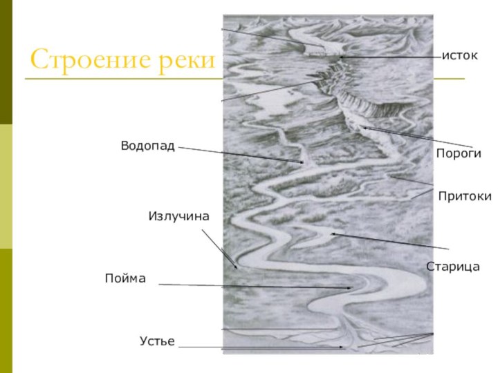 Строение рекиИзлучинаПорогиПоймаСтарицаистокУстьеВодопадПритоки