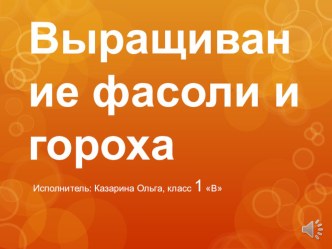 Проект Выращиваю фасоль и горох проект по окружающему миру (1 класс)