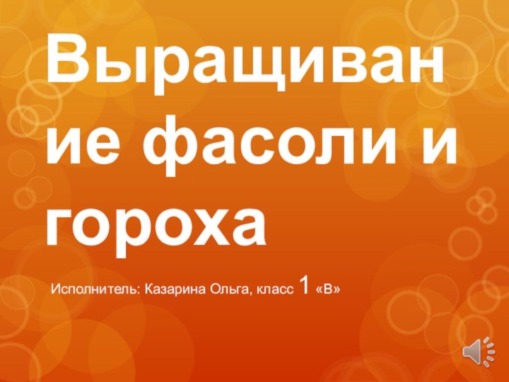 Выращивание фасоли и горохаИсполнитель: Казарина Ольга, класс 1 «В»