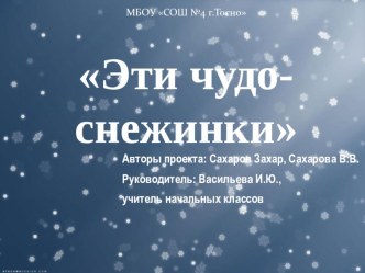 Презентация Эти чудо-снежинки презентация к уроку (2 класс)