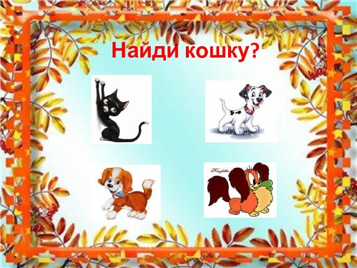 Найди кошку?