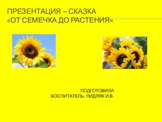 Открытое интегрированное занятие по теме: От семечка до растения план-конспект занятия по окружающему миру (средняя группа)