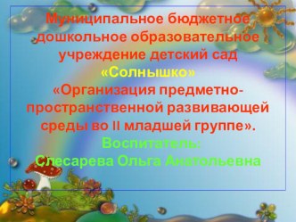 Презентация Развивающая предметно-пространственная среда презентация к уроку (младшая группа)