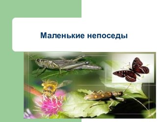 Маленькие непоседы презентация к уроку по окружающему миру (1 класс)