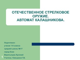 презентация Отечественное стрелковое оружие. Автомат Калашникова презентация к уроку