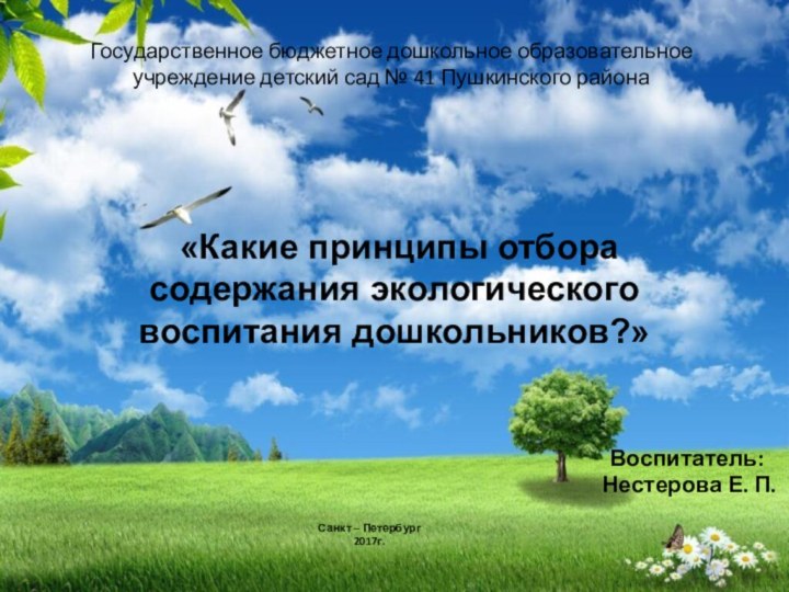 Государственное бюджетное дошкольное образовательное учреждение детский сад № 41 Пушкинского района Воспитатель: