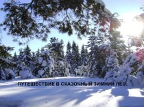 Путешествие в сказочный, зимний лес. презентация к уроку по окружающему миру (младшая группа)