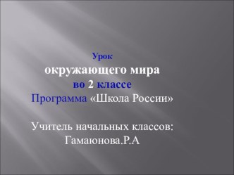 Урок окружающего мира во 2 классе Школа России -Дикие и домашние животные. презентация к уроку по окружающему миру (2 класс)