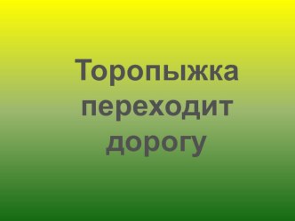 Презентация Торопыжка переходит дорогу презентация к занятию (старшая группа) по теме