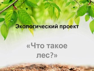 Проект Что такое лес? проект по окружающему миру (подготовительная группа)