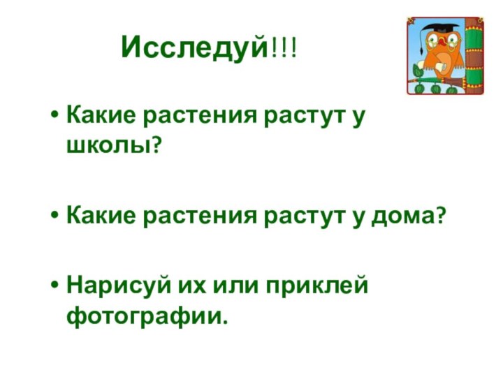 Исследуй!!!Какие растения растут у школы?Какие растения растут у дома?Нарисуй их или приклей фотографии.