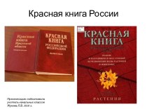 Красная книга России презентация к уроку (2 класс) по теме