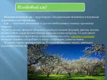 Презентация Плодовый сад презентация к уроку по окружающему миру по теме