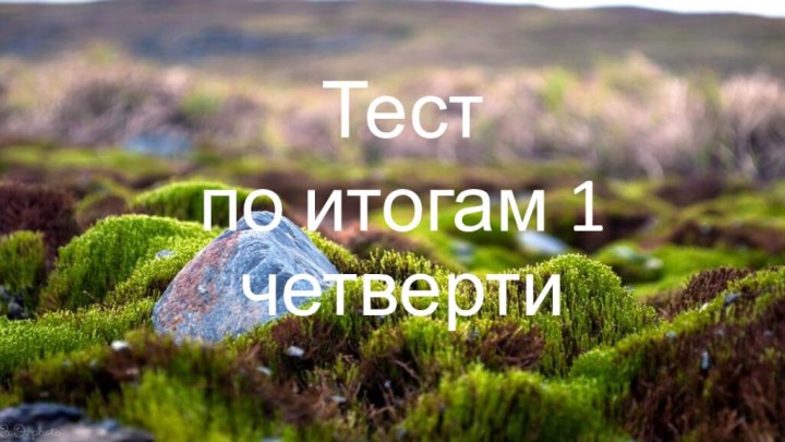 Тест по итогам 1 четверти