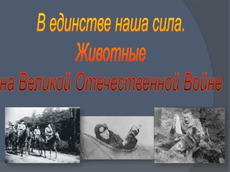 Разработка классного часа: Животные на Великой Отечественной войне, приуроченная к Победы в ВОВ классный час (1, 2, 3, 4 класс)