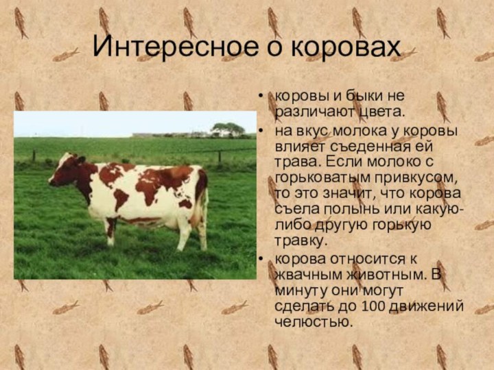 Интересное о коровахкоровы и быки не различают цвета. на вкус молока у