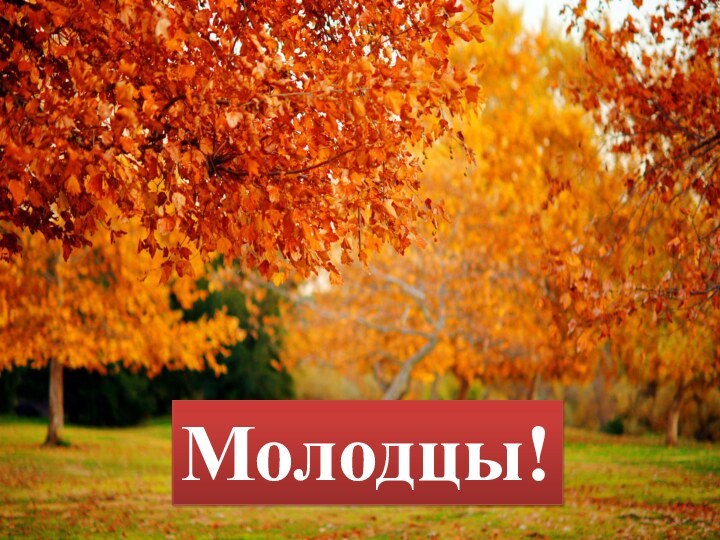 Молодцы!