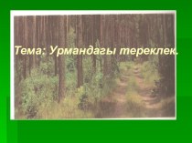 Презентация  Урмандагы тереклек презентация к уроку по окружающему миру (4 класс) по теме