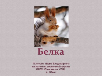 Презентация к ООД Дикие животные .Белка презентация к уроку по окружающему миру (младшая, средняя, старшая, подготовительная группа)