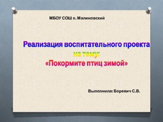 покорми птиц зимой проект (2 класс)