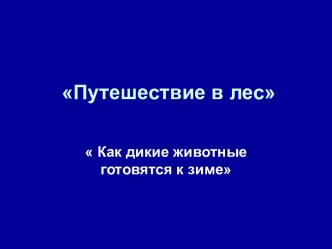 Путешествие в осенний лес.Как дикие животные готовятся к зиме презентация урока для интерактивной доски по развитию речи (подготовительная группа)