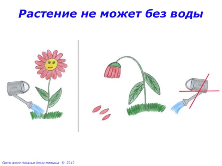 Растение не может без водыСосновская Наталья Владимировна © 2010