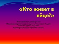 Проект - яйцо презентация урока для интерактивной доски (младшая группа)