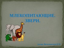 Млекопитающие. презентация к уроку по окружающему миру (1 класс)