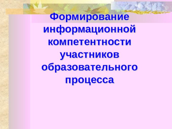 Формирование информационной компетентности участников образовательного процесса