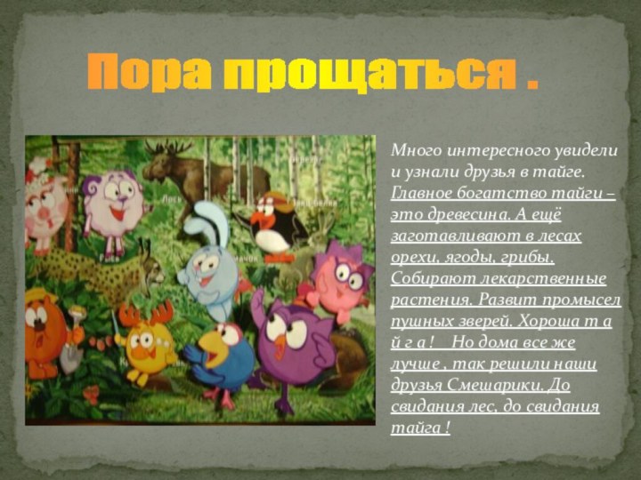 Много интересного увидели и узнали друзья в тайге. Главное богатство тайги –