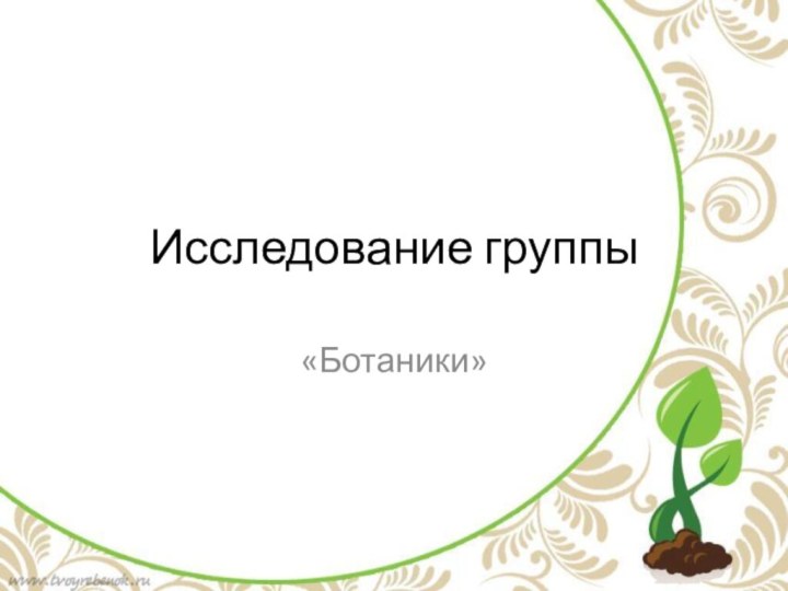 Исследование группы«Ботаники»