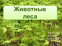 Презентация для детей старшего дошкольного возраста для интегрированного занятия Дикие животные презентация к уроку (подготовительная группа)