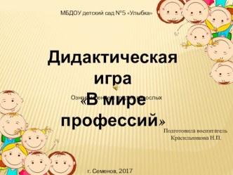 Дидактическая игра В мире профессий презентация к уроку по окружающему миру (средняя группа)