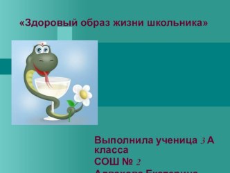 Презентация Здоровый образ жизни презентация урока для интерактивной доски по зож (3 класс)