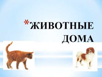 Презентация Домашние животные для детей презентация к уроку (старшая группа)