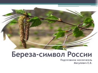 Конспект образовательной деятельности в старшей группе: Люблю берёзку русскую! план-конспект занятия по развитию речи (старшая группа) Конспект образовательной деятельности в старшей группе: Люблю берёзку русскую!