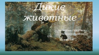 Конспект непосредственной образовательной деятельности с детьми средней группы Дикие животные план-конспект занятия по окружающему миру (средняя группа) по теме