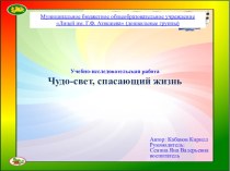 Исследовательская работа Фликер дарит свет жизни проект (подготовительная группа) по теме План исследований.Описание работы.