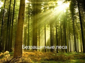 Беззащитные леса - презентация презентация к уроку