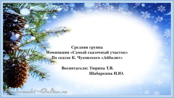 Средняя группа Номинация «Самый сказочный участок» По сказке К. Чуковского «Айболит»