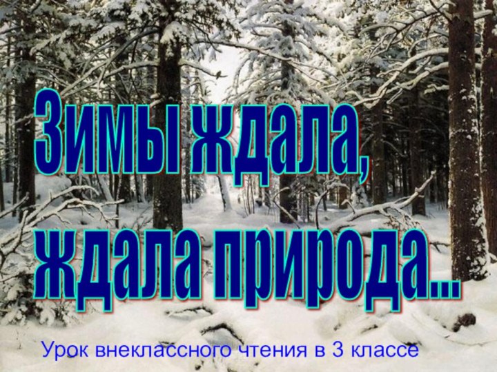 Зимы ждала,  ждала природа...Урок внеклассного чтения в 3 классе